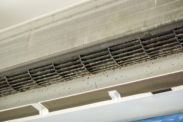 Best Commercial Air Duct Cleaning  in York, AL
